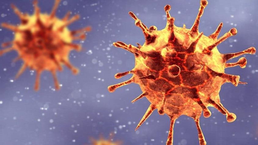 Mutación del coronavirus: qué tan preocupante es la aparición de una nueva cepa