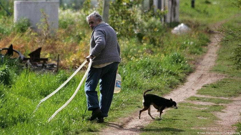 José Mujica quiere que lo entierren junto a los restos de su perra Manuela