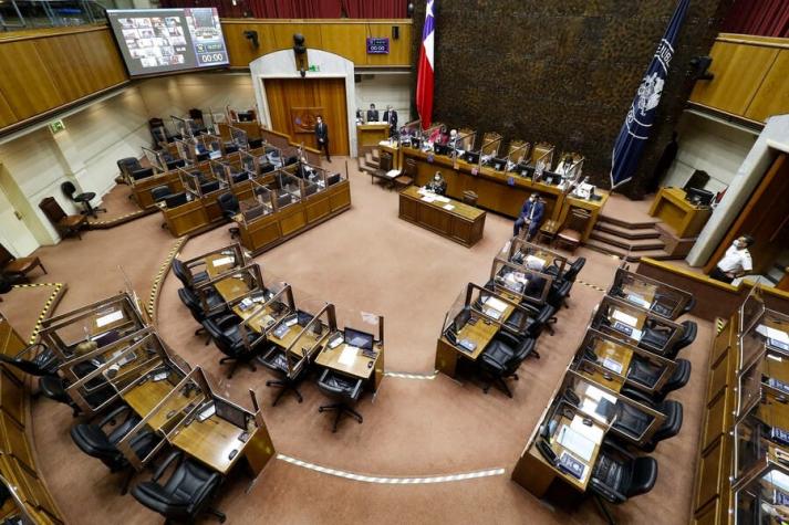 Senado aprueba escaños reservados para pueblos originarios en Convención Constitucional