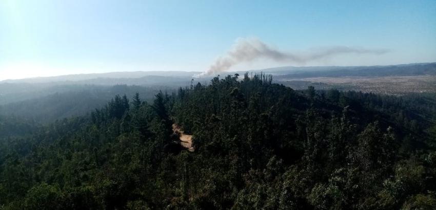 Alerta Roja para la comuna de Valparaíso por incendio forestal en Reserva Nacional Lago Peñuelas