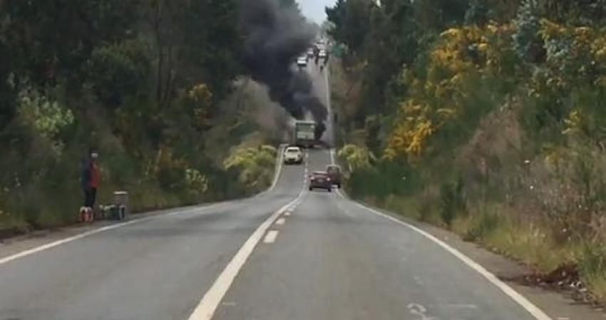 Camión repartidor de la CCU es quemado en ruta que une Cañete con Tirúa
