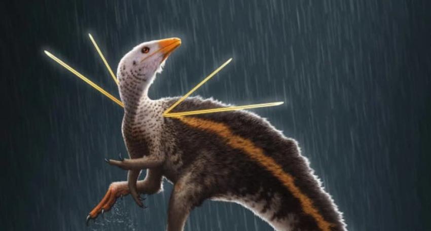 Descubren un dinosaurio en Brasil con una melena de plumas y espinas en los hombros