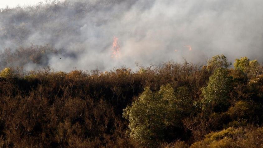 Declaran Alerta Temprana Preventiva en la Región Metropolitana por riesgo de incendios forestales