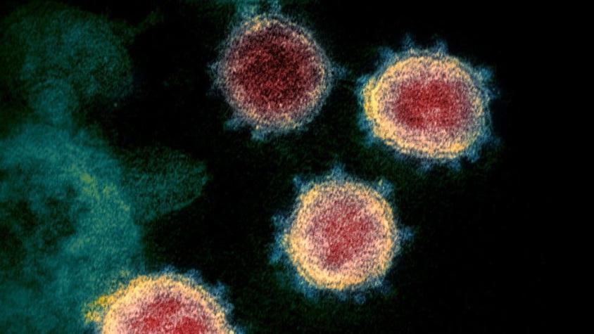 Mutación del coronavirus: Sudáfrica investiga otra variante del patógeno vinculada a su segunda ola