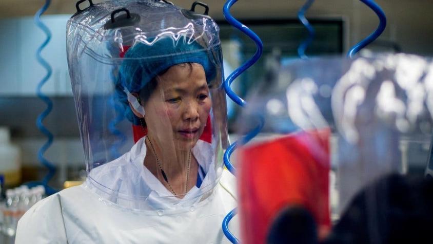 "No tenemos nada que ocultar": científica estrella de Wuhan invita a la OMS a visitar laboratorio