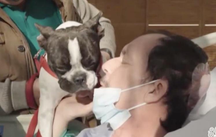 No hablaba ni se movía: Un hombre mejora tras la visita de su perrita al hospital en España