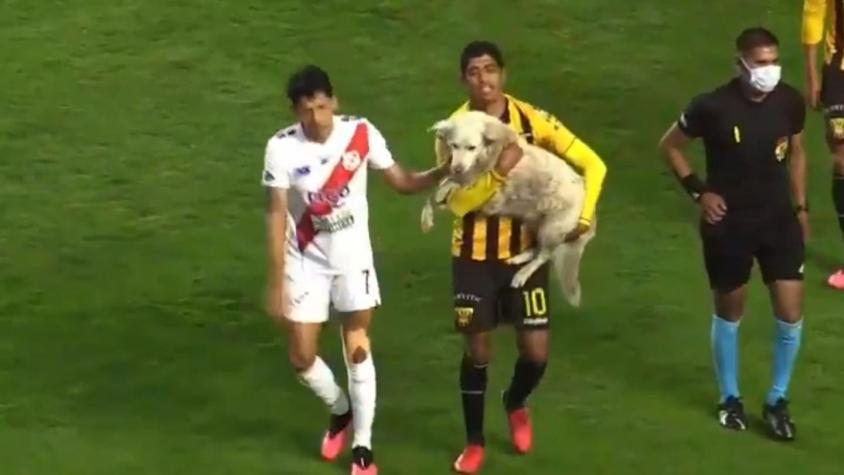 [VIDEO] Perro interrumpió partido de fútbol en Bolivia: Se robó las cámaras... ¡y un zapato!