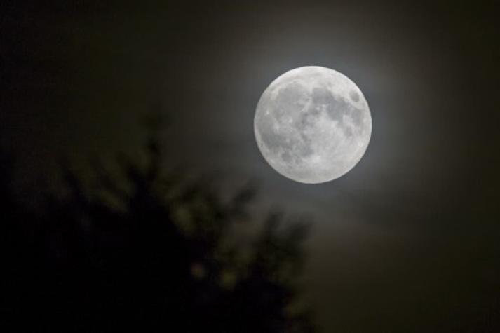 Qué es la la "Luna de Lobo" que se podrá ver este jueves desde Chile