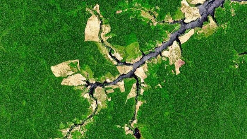 Amazonía brasileña perdió 8.500 km cuadrados en 2020