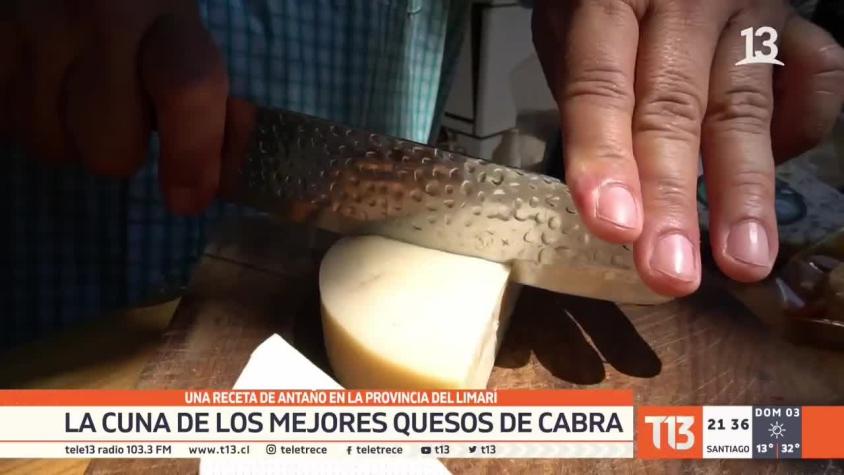 [VIDEO] Provincia del Limarí: La cuna de los mejores quesos de cabra