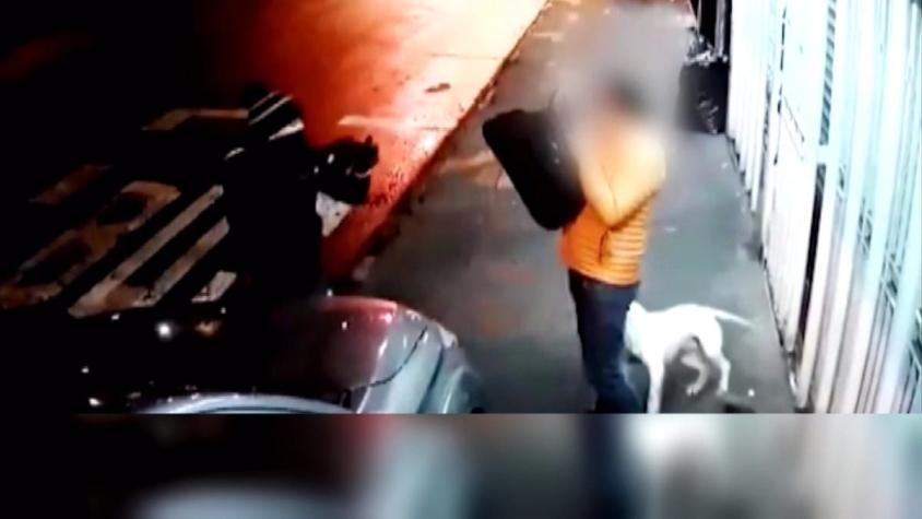 [VIDEO] Banda asaltaba junto a un perro en Lo Prado: Robaban autos y atacaban a peatones