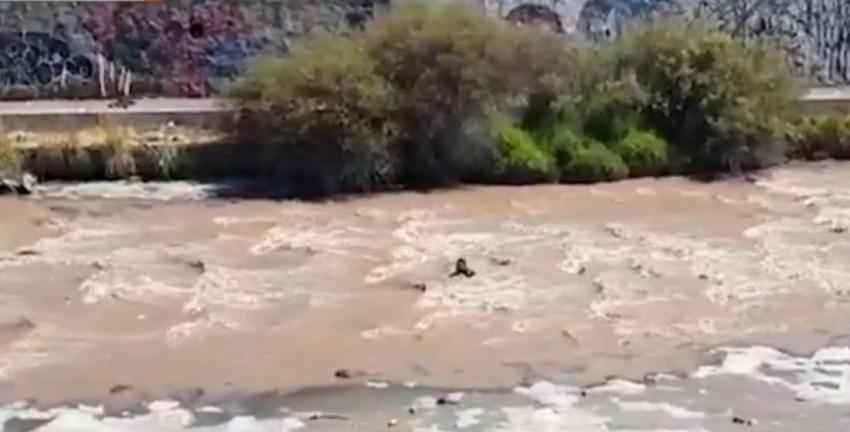 [VIDEO] Hombre se lanzó al río Mapocho para evadir detención policial tras robarse un celular