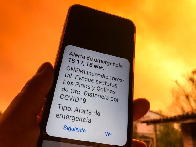 Evacuan sectores de Los Pinos, Colinas de Oro y Teniente Serrano en Quilpué por incendios forestales