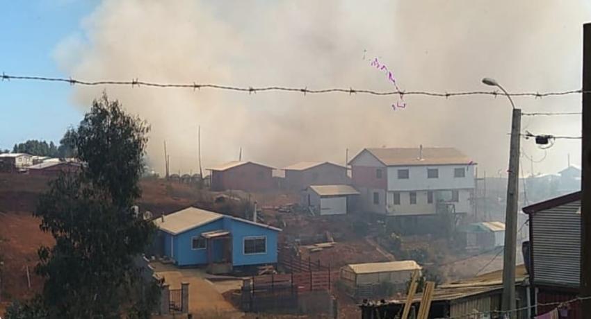 Se declara Alerta Roja para la comuna de Tomé por incendio forestal