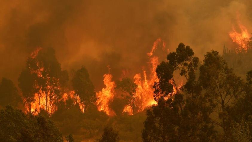 Gianfranco Marcone explica las condiciones del incendio forestal de Quilpué