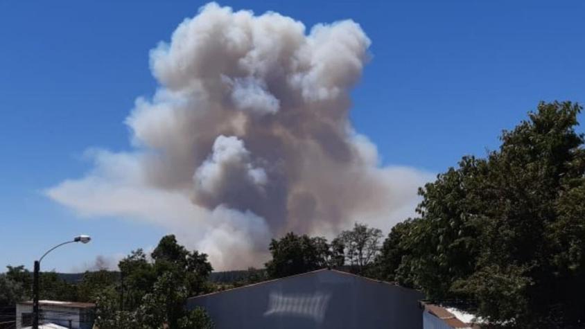 Onemi declara alerta roja para comuna de Yungay por incendio forestal cercano a viviendas