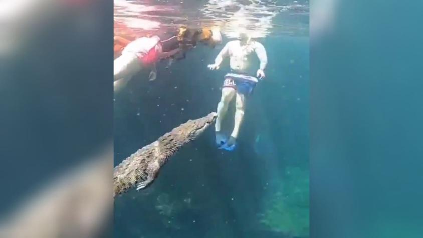 [VIDEO] ¡Un susto! Turistas nadaban en un cenote de Tulum y fueron sorprendidos por un cocodrilo