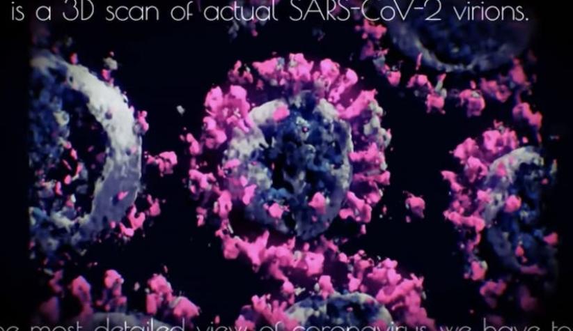 Así es el COVID-19: logran la primera imagen del virus en 3D