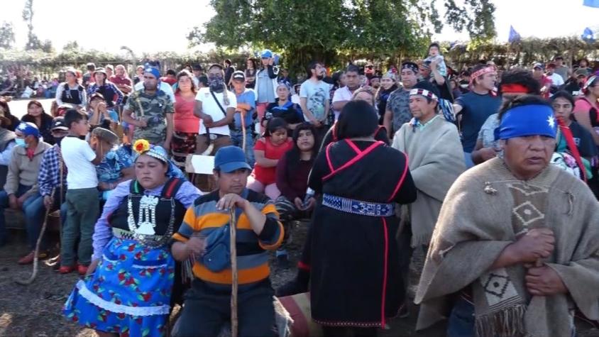 [VIDEO] No descartan uso de armas en "policía Mapuche": anuncio fue rechazado por el Gobierno