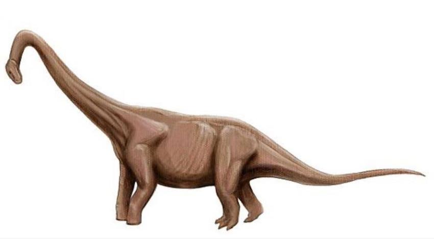 Dinosaurio encontrado en Argentina podría ser la criatura más grande que haya pisado la Tierra