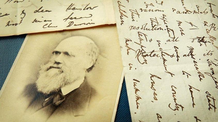 El "misterio abominable" de Darwin y los orígenes de su obsesión con el mismo