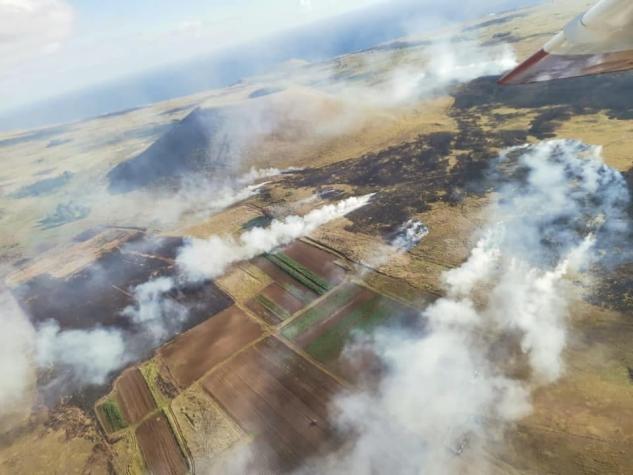 Más de 600 hectáreas quemadas en Rapa Nui: trabajan para controlar llamas en sectores arqueológicos
