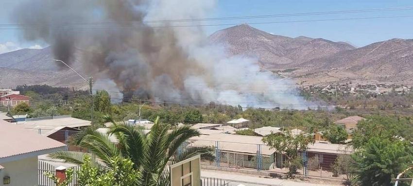 Decretan alerta roja en Monte Patria por incendio forestal fuera de control a metros de bencinera