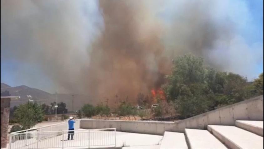 [VIDEO] Alerta Roja en Monte Patria: Incendio forestal estuvo a punto de alcanzar bencinera