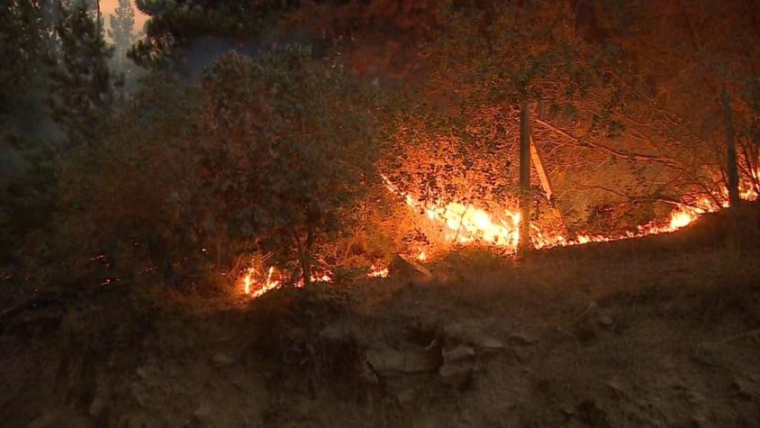 Alerta Roja por incendio forestal en San Fernando: 700 personas han sido evacuadas