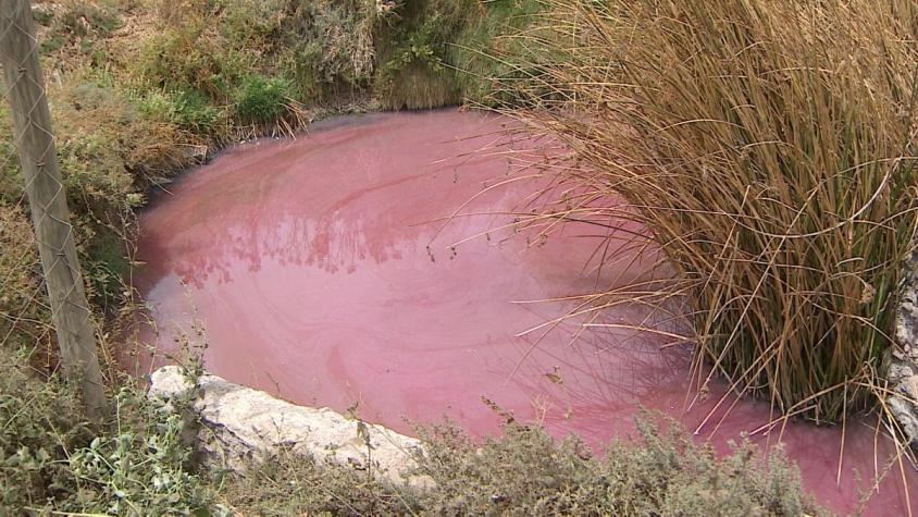 [VIDEO] El "enigma del río" en Batuco: agua se tiñó de rojo y tiene un fuerte mal olor