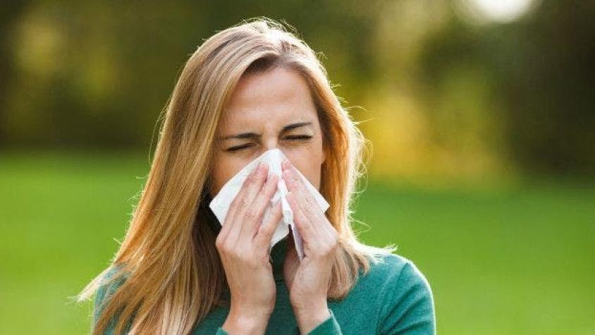 El calentamiento global está provocando que la temporada de alergia se extienda