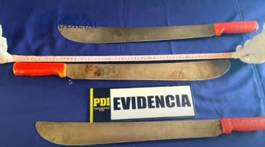 Abogada del INDH asegura que machetes de malabarista baleado en Panguipulli "no tenían punta"