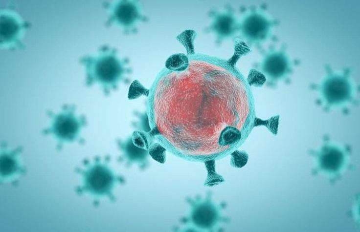 ¿Qué sabemos de las nuevas variantes del coronavirus?