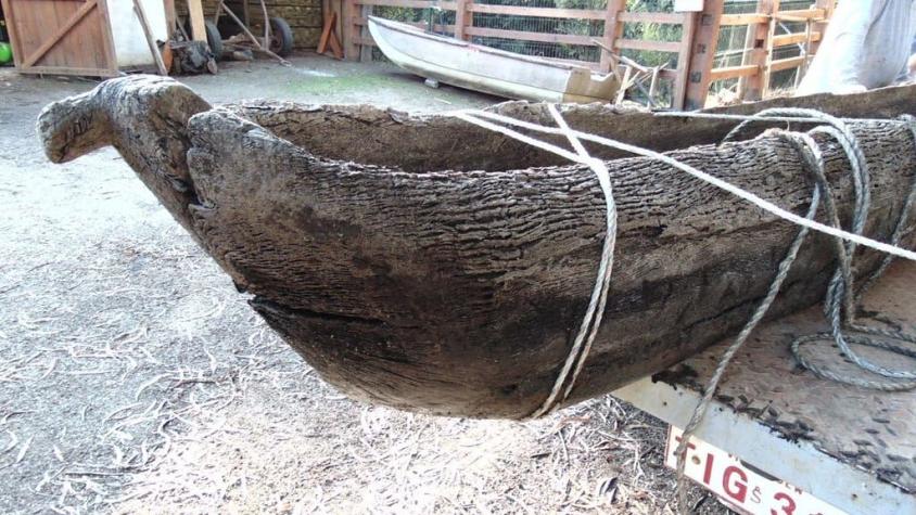 Increíble hallazgo arqueológico: Embarcación mapuche apareció en orillas de Laguna Torca