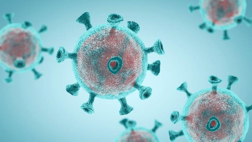 Coronavirus: todo el SARS-CoV-2 que hay en el mundo podría caber en una lata de gaseosa