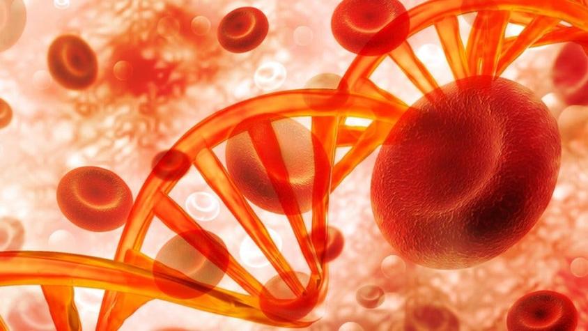 Hipercolesterolemia familiar (HF): la mutación genética que provoca colesterol alto