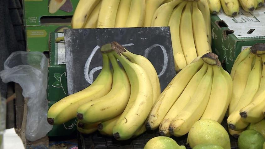 [VIDEO] Popular fruta en problemas: Hongo amenaza producción de plátanos