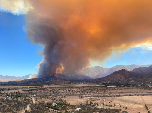 Alerta Roja por incendio forestal en Curacaví: Van 200 hectáreas consumidas
