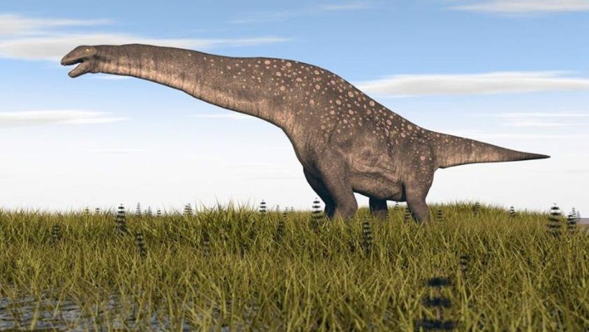 Científicos descubren al titanosaurio más antiguo en el mundo en la Patagonia de Argentina