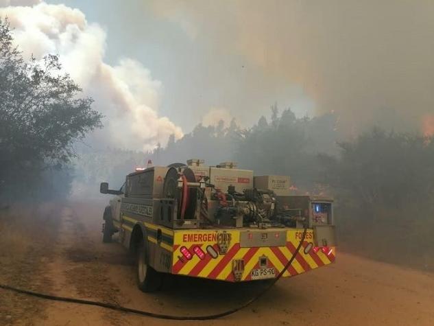 Decretan alerta roja en Valparaíso por incendio forestal cerca de la Reserva Peñuelas