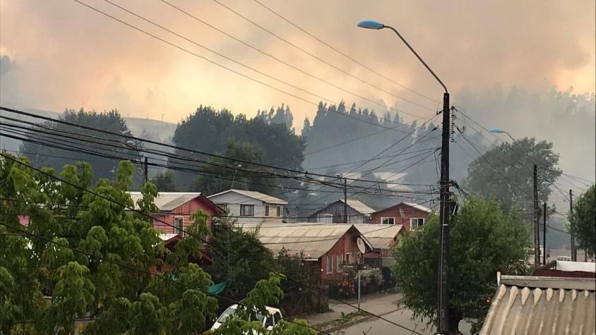 Onemi declara alerta roja para Galvarino por incendio forestal