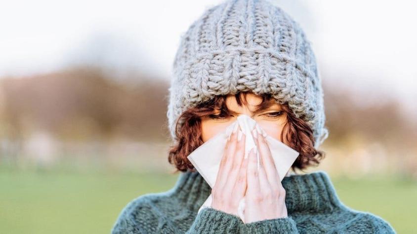 Coronavirus: cómo el resfriado común puede desalojar el COVID-19 de tu organismo