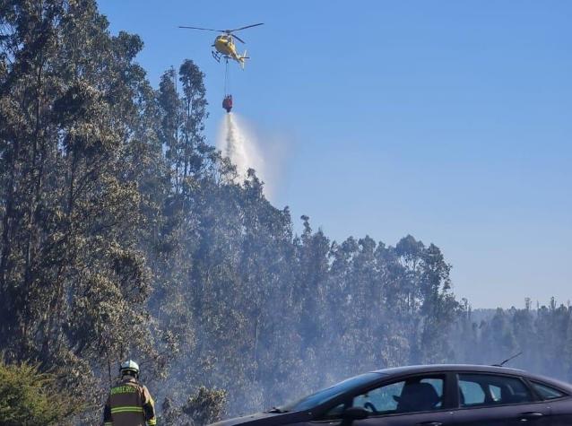 Alerta roja en Valparaíso y Casablanca por incendio forestal cerca de Lago Peñuelas