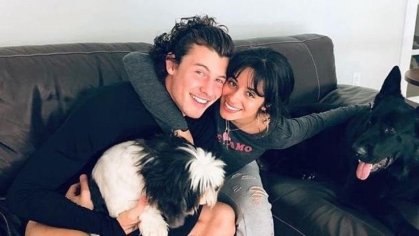 Camila Cabello y Shawn Mendes fueron asaltados en su casa: sujetos huyeron en auto del artista