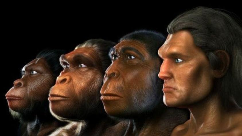 Hallazgos en Sudáfrica cuestionan el lugar de origen del "Homo sapiens"