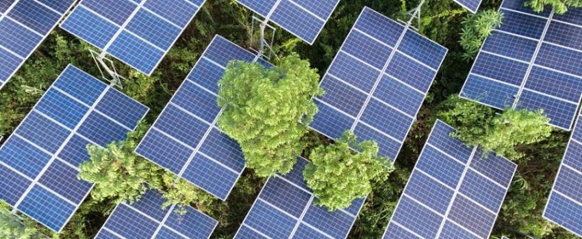 Programa da hasta 60 millones para que negocios generen su propia energía verde
