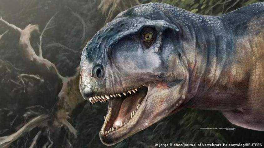 Hallan en la Patagonia nueva especie de dinosaurio carnívoro llamado "el que causa miedo”