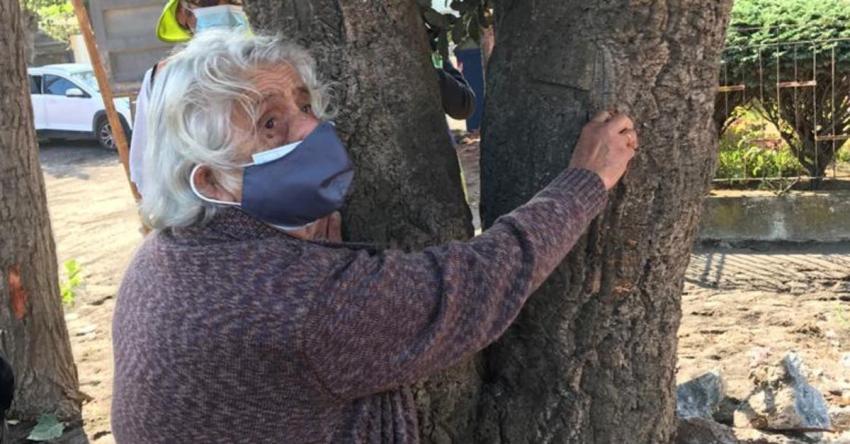 Vecina de 90 años busca impedir la tala de un árbol en barrio de Talcahuano