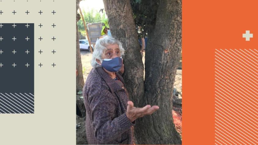[VIDEO] La historia de la vecina de 90 años que evitó la tala de un árbol de su barrio en Talcahuano