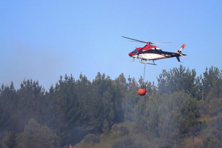 Onemi declara alerta preventiva para la Región Metropolitana por riesgo de incendio forestal